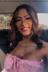 Foto selfie trans escort Thais Antonella Milano 3928047431