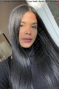 Foto selfie escort Dolce Sirena Civitanova Marche 3444270943