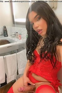 Foto selfie hot trans escort Molly Prato 3288130841