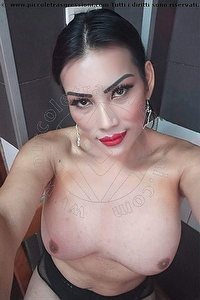 Foto selfie trans escort Danna Valentina Ponte San Giovanni 3533719536