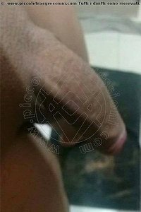 Foto selfie hot trans escort Dani Prato 3533948337