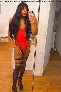 Foto selfie trav escort Sabrina Alencar Padova 3407812035