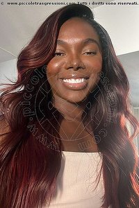 Foto selfie trans escort Safira Sant'z Bologna 3278243596