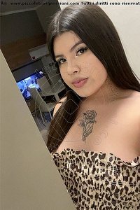 Foto selfie trans escort Raychel Naomi Modena 3509048422