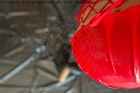 Foto selfie escort Tiny Mouse Venezia 3284690312