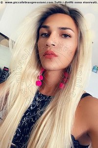 Foto selfie trans escort Giulia Araujo Torino 3273719219