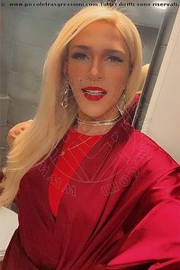 Foto selfie trans escort Giulia Araujo Torino 3273719219