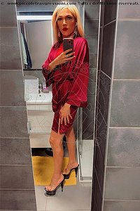Foto selfie trans escort Giulia Araujo Torino 3273719219