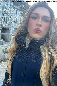 Foto selfie trans escort Giulia Araujo Torino 3273719219