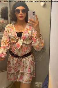 Foto selfie trans escort Giulia Araujo Bologna 3273719219