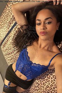 Foto selfie trans escort Victoria New Bologna 3394337857