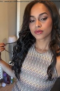 Foto selfie trans escort Victoria New Bologna 3394337857