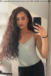 Foto selfie trans escort Victoria New Bologna 3394337857
