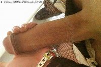 Foto selfie hot trav escort Nina Tx Seriate 3348464340